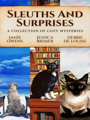 cover image of Sleuths and Surprises